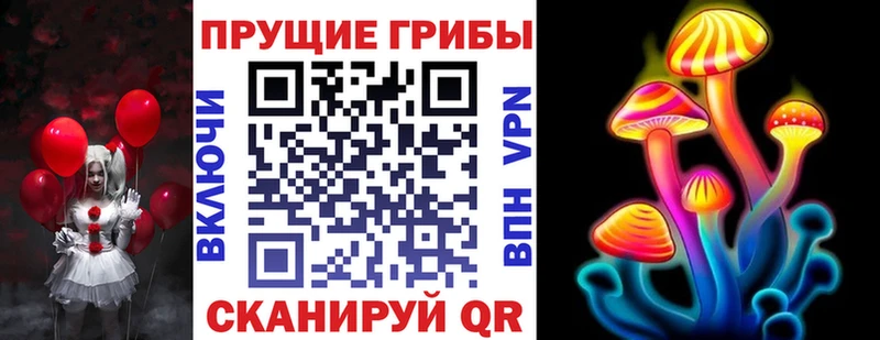 хочу наркоту  Бабаево  Псилоцибиновые грибы Magic Shrooms 